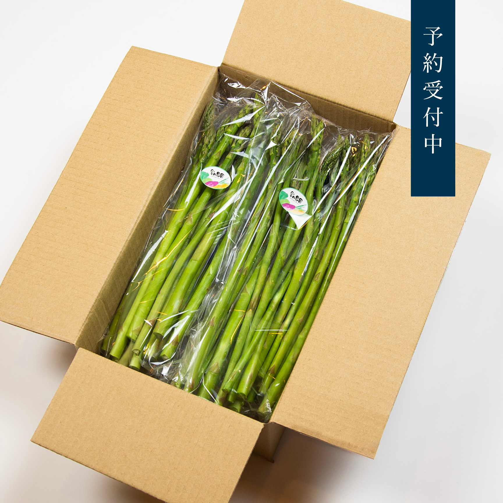 【予約受付中】朝採りアスパラガス(約1kg)